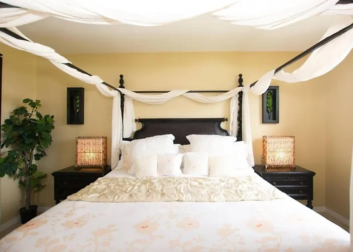 Classy Artsy Ocean-view Unit Near Pool At Pacifico In Sleeps 6 Coco